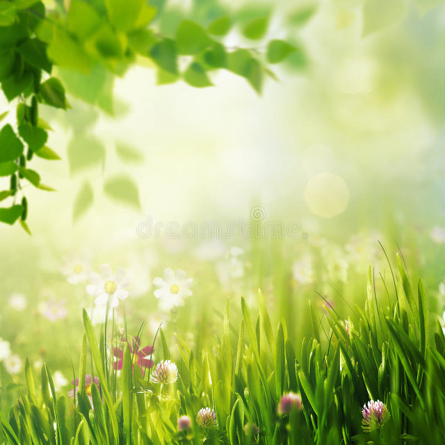 有什么办法可以让老婆不烦自己,怎么去哄自己的老婆才不生气