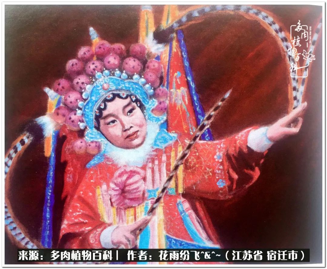 回味童年无忧无虑的快乐时光,童年最快乐的时光