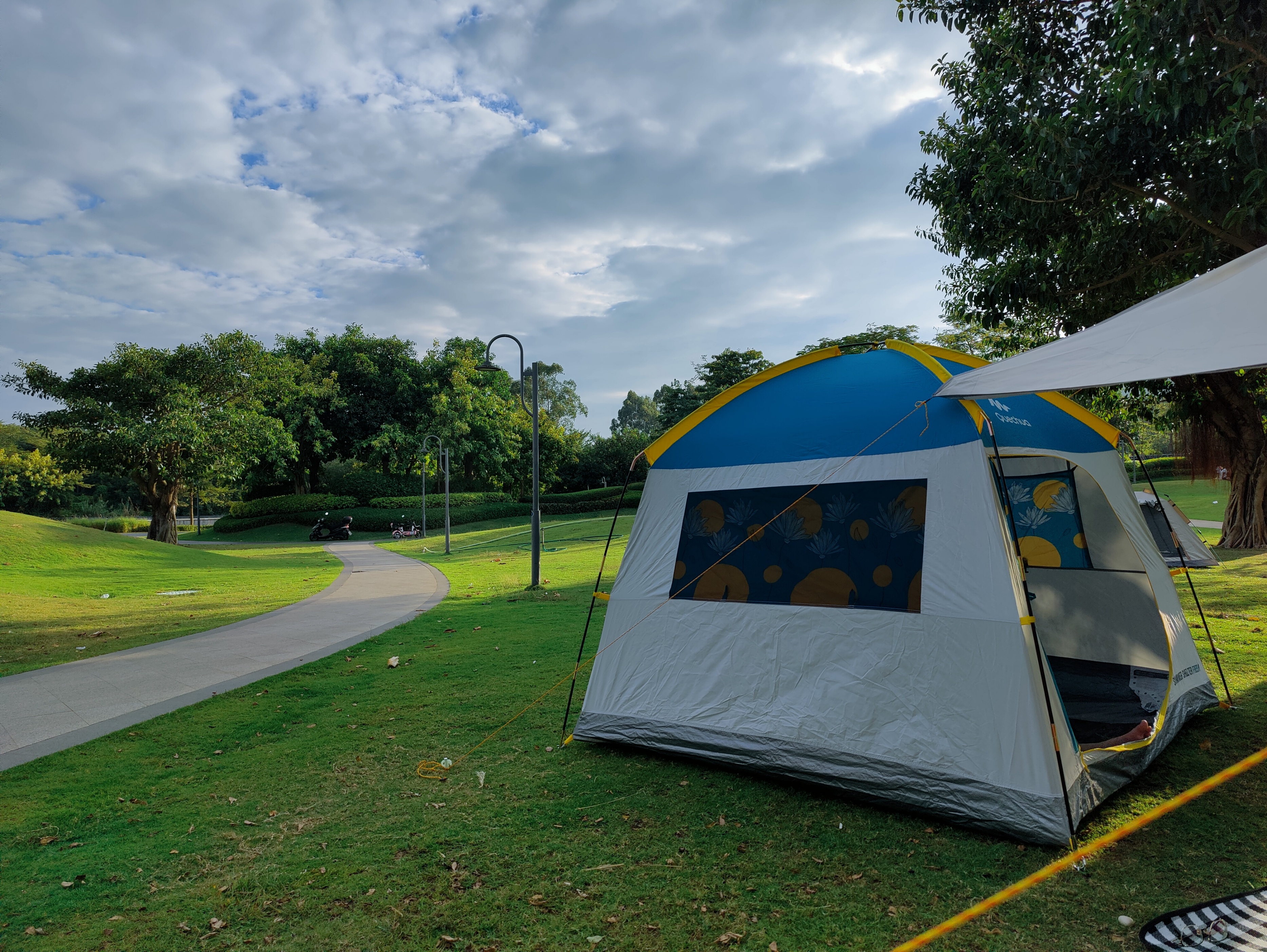 高中学生手机瘾怎么戒,戒不掉的手机瘾怎么办