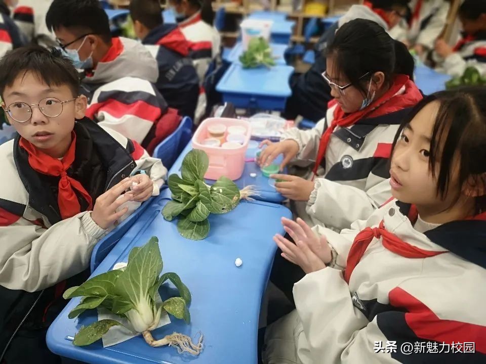 金陵华兴,金陵华兴教育集团