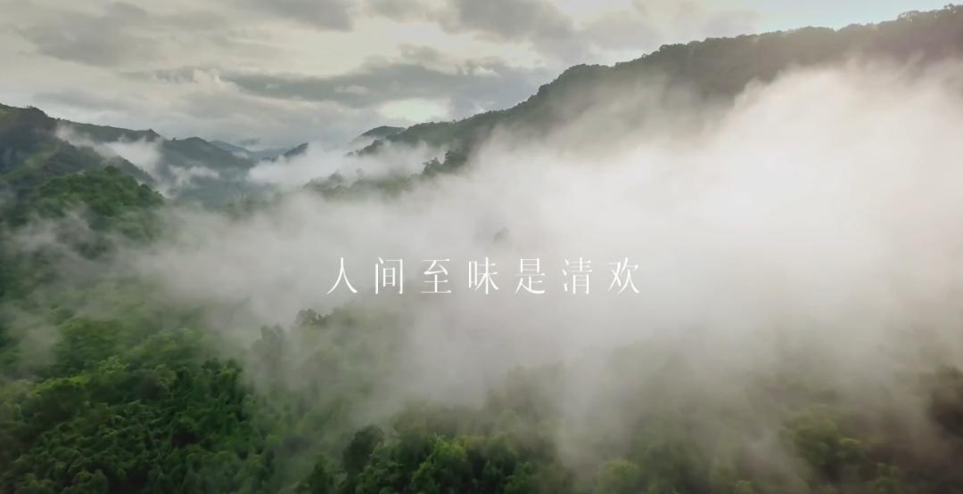 芳疗抖音要求,芳疗式卸妆