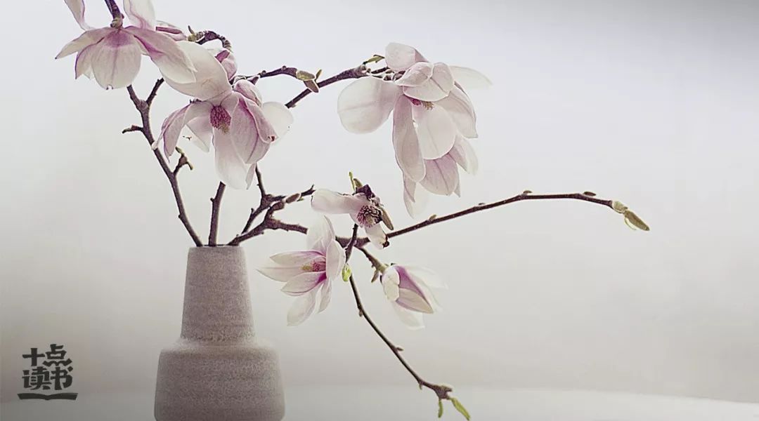 王阳明心理强大的人越温柔,王阳明内心平静不强求