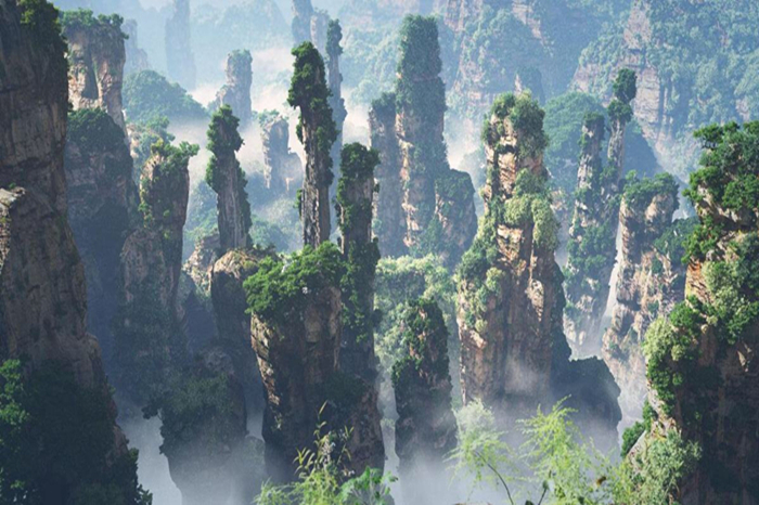 97年的我负债8万怎么办,深圳创业失败负债300万