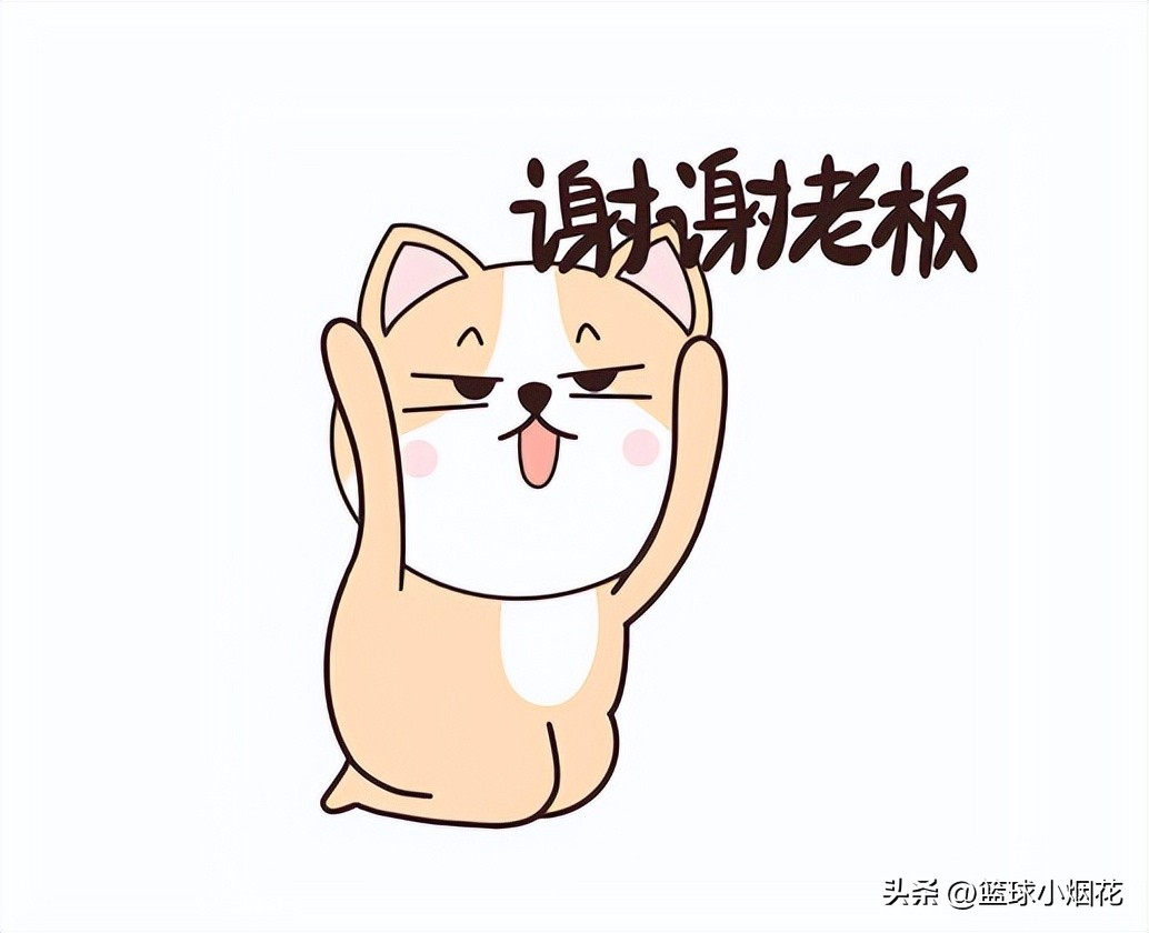 拒绝抱团！爷青回！盘点2005-2006赛季联盟30支球队的老大