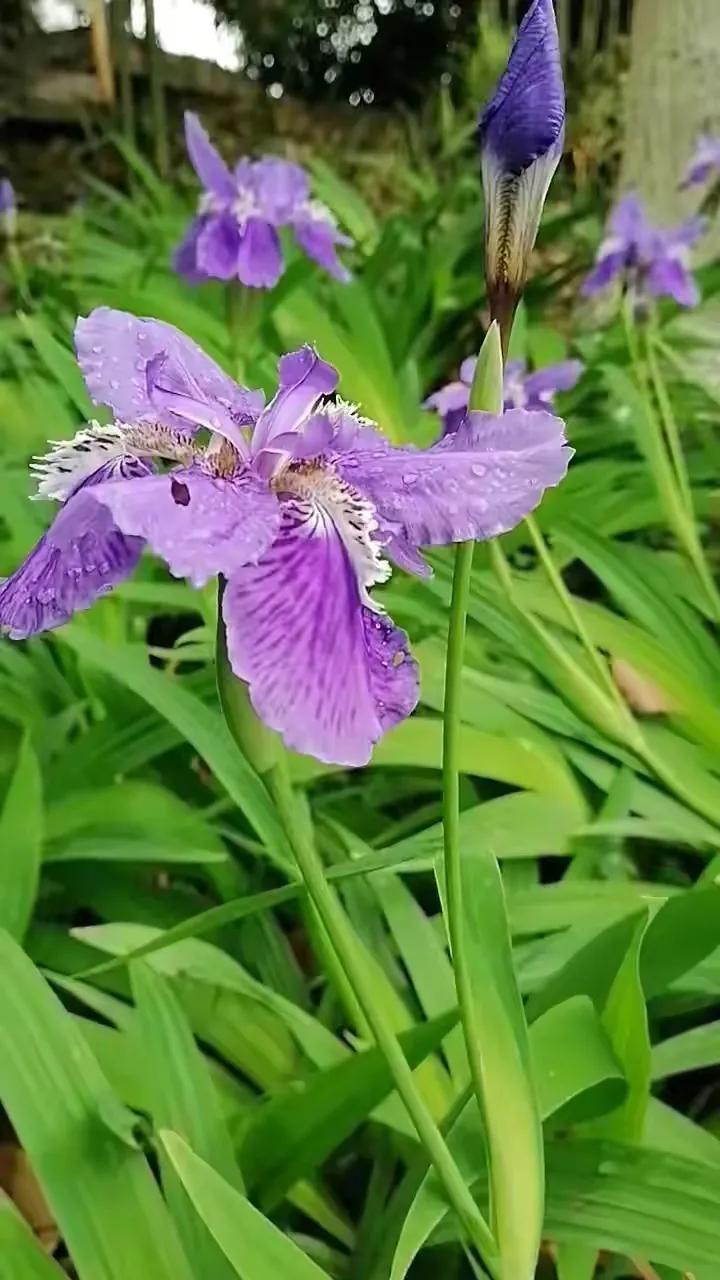 生活还要继续调整好情绪文案,生活还要继续吗