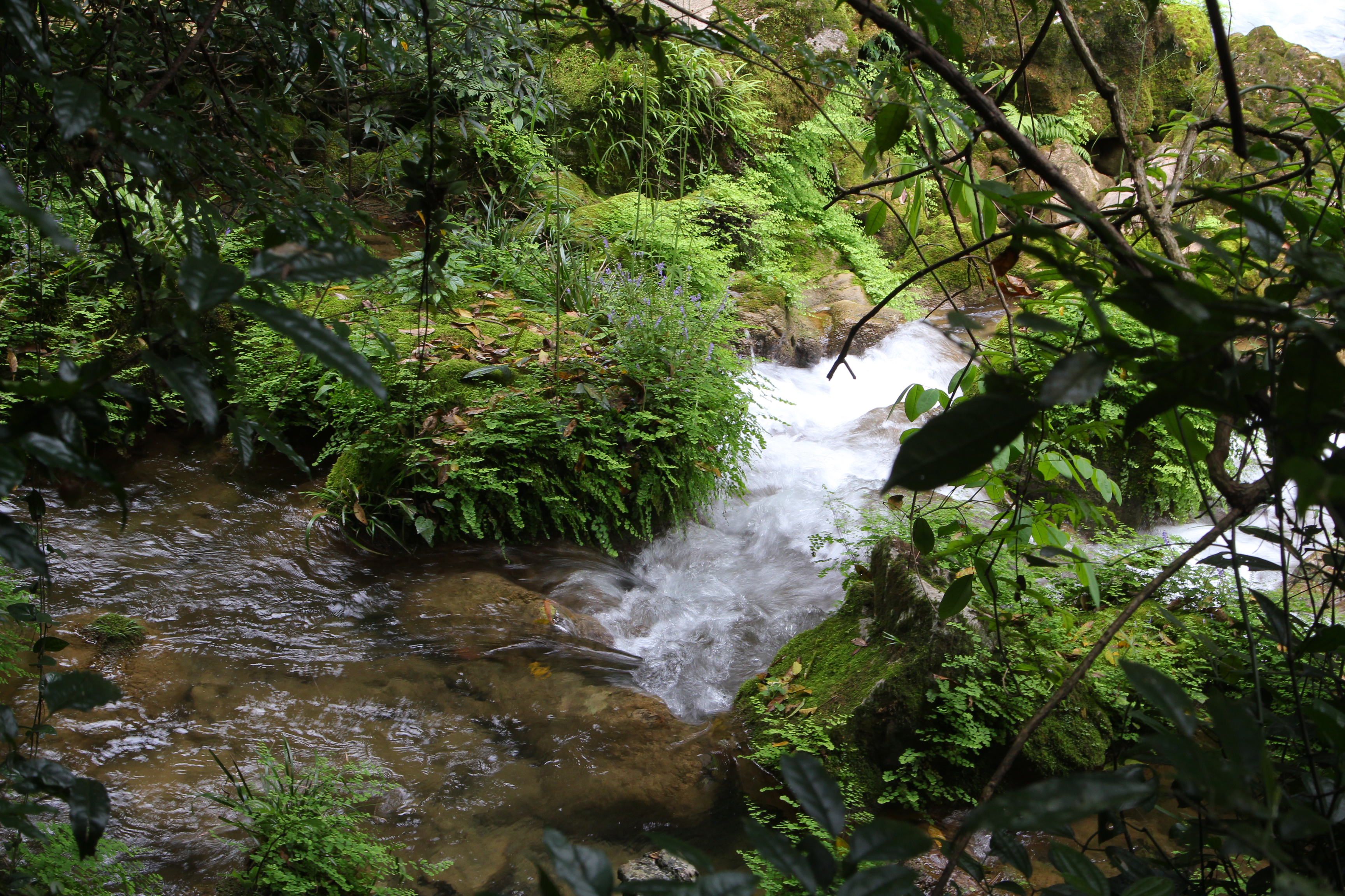 大美贵州之黄果树瀑布,贵州小七孔大七孔的景色太美了