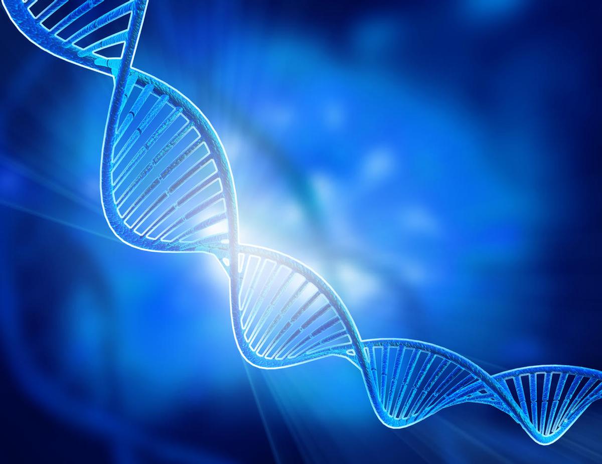 世界智商排名前5的国家是什么,尼泊尔人智商