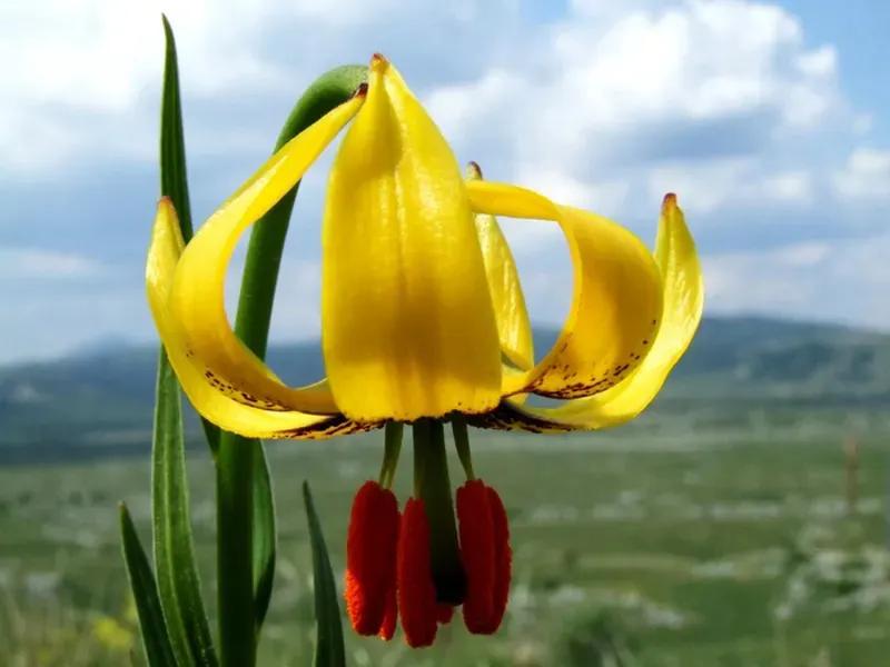 国色天香秀色可餐的美女 (秀色可餐与国色天香)