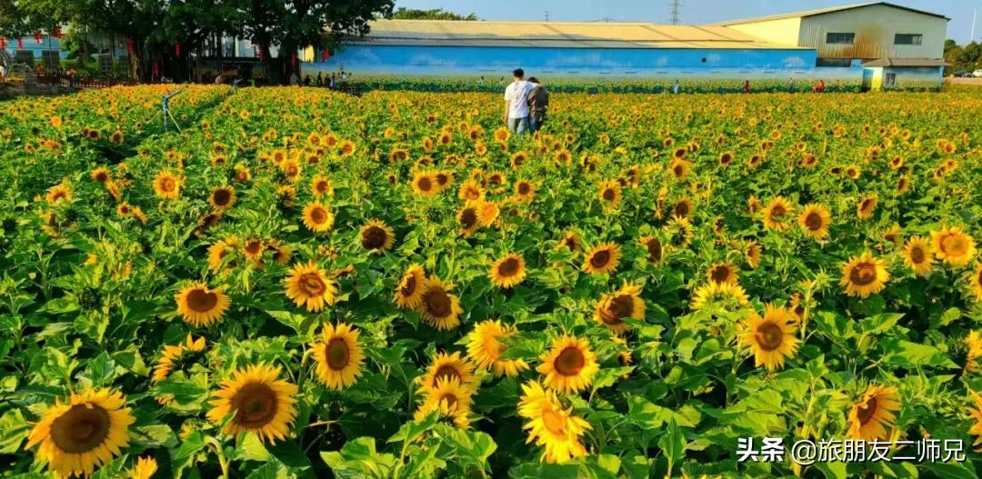 4天旅游广州周边景点攻略,人少景美的小众旅行地广东出发