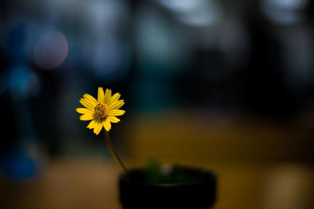 怎样成为领导心腹,成为领导心腹的三个修炼