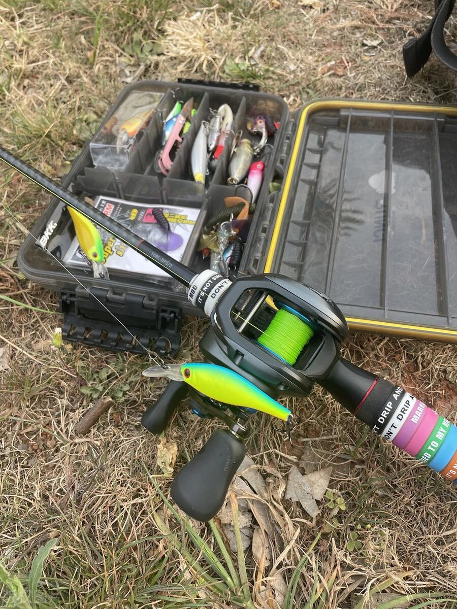 钓黑鱼刺鱼技巧,教你怎么打黑鱼