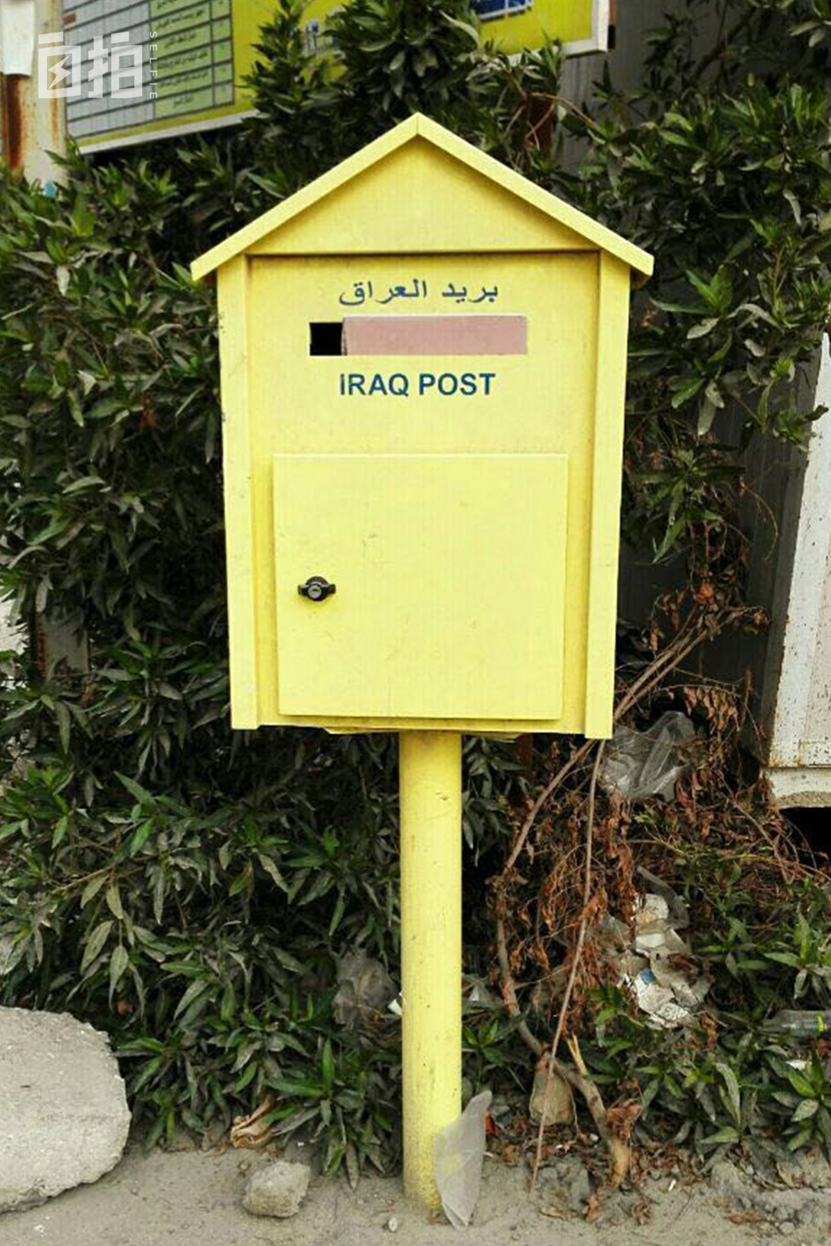 我，美国名校毕业，辞去白领工作，靠当群演养活自己