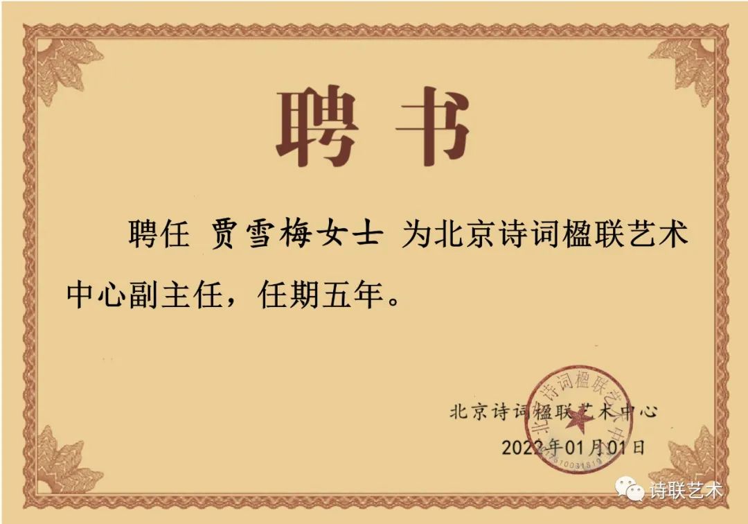 贾雪梅简介,贾雪梅电视剧