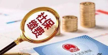 如何查自己的社保卡有多少钱,如何查自己的社保情况