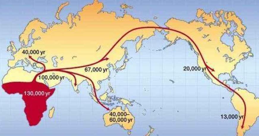 考古中国起源,考古发现山东人祖先