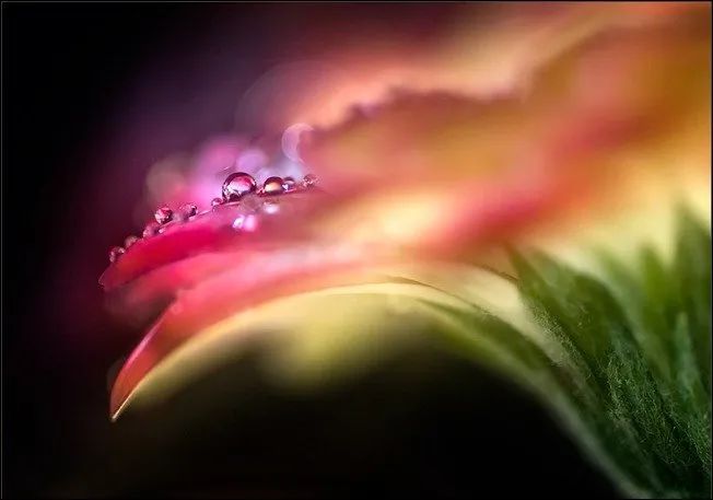 100幅经典摄影作品欣赏,100幅精品摄影图