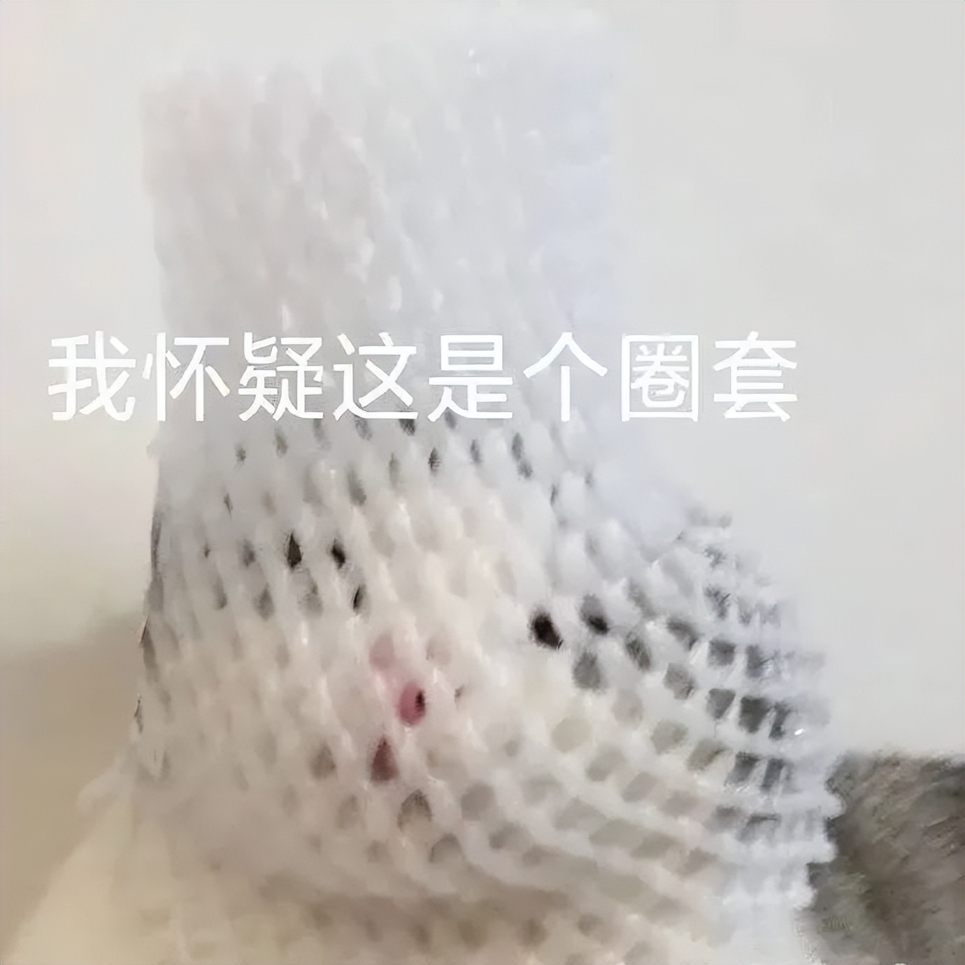 这是陷阱,这是陷阱粤语完整版