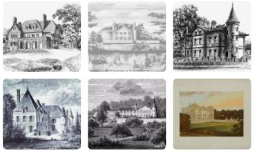 拉菲区分,拉菲分几种