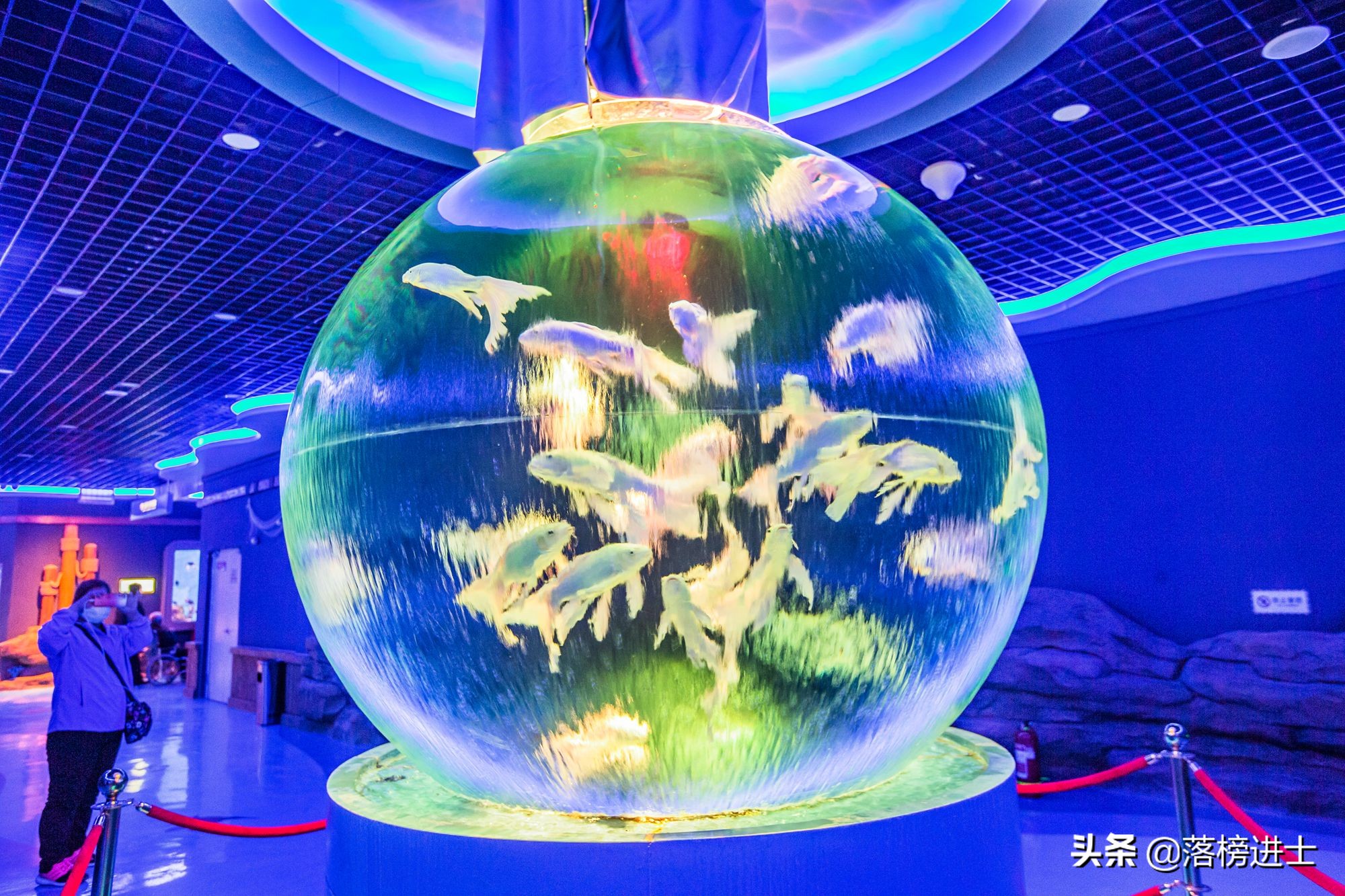 石家庄极地海洋世界从哪个门进,石家庄极地海洋世界内部视频