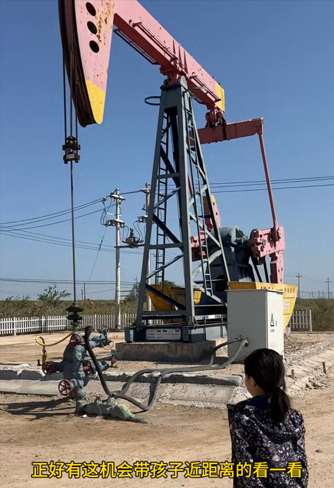 黑天鹅蛋糕价格999万,黑天鹅蛋糕上亿