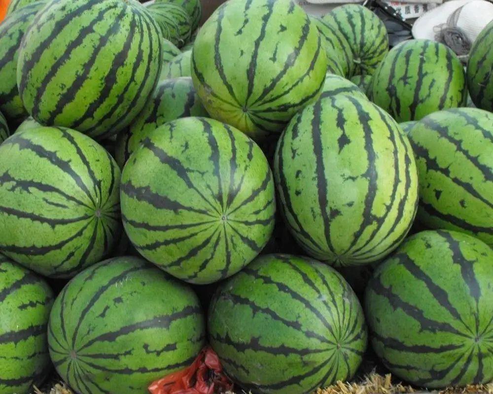 百日突击行动,百日行动