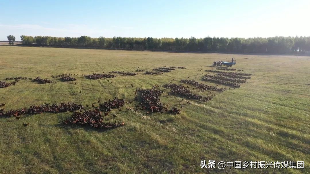 2023乡村振兴申报项目及补贴,振兴乡村国家有哪些资金扶持项目