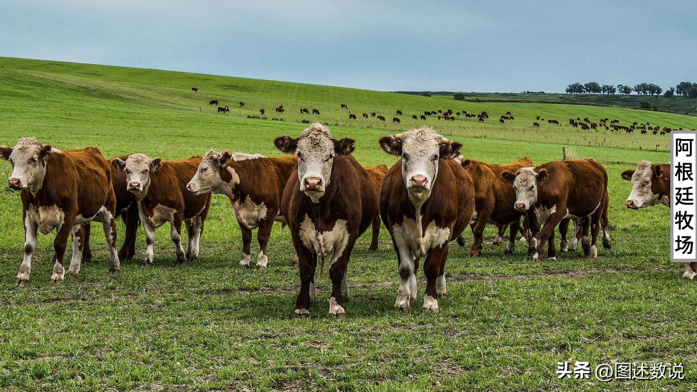 回顾历届世界杯决赛,历届世界杯决赛时间