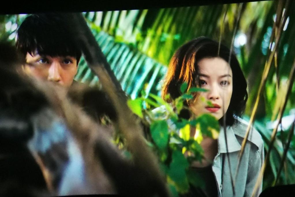 消失的她电影解析详细,消失的她电影解说