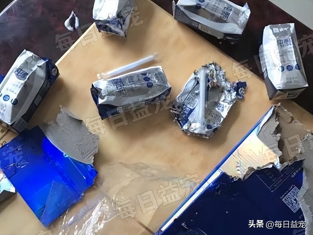 金毛调皮咬破酸奶，主人心软整盒赏给它，结果家里就变成这样了