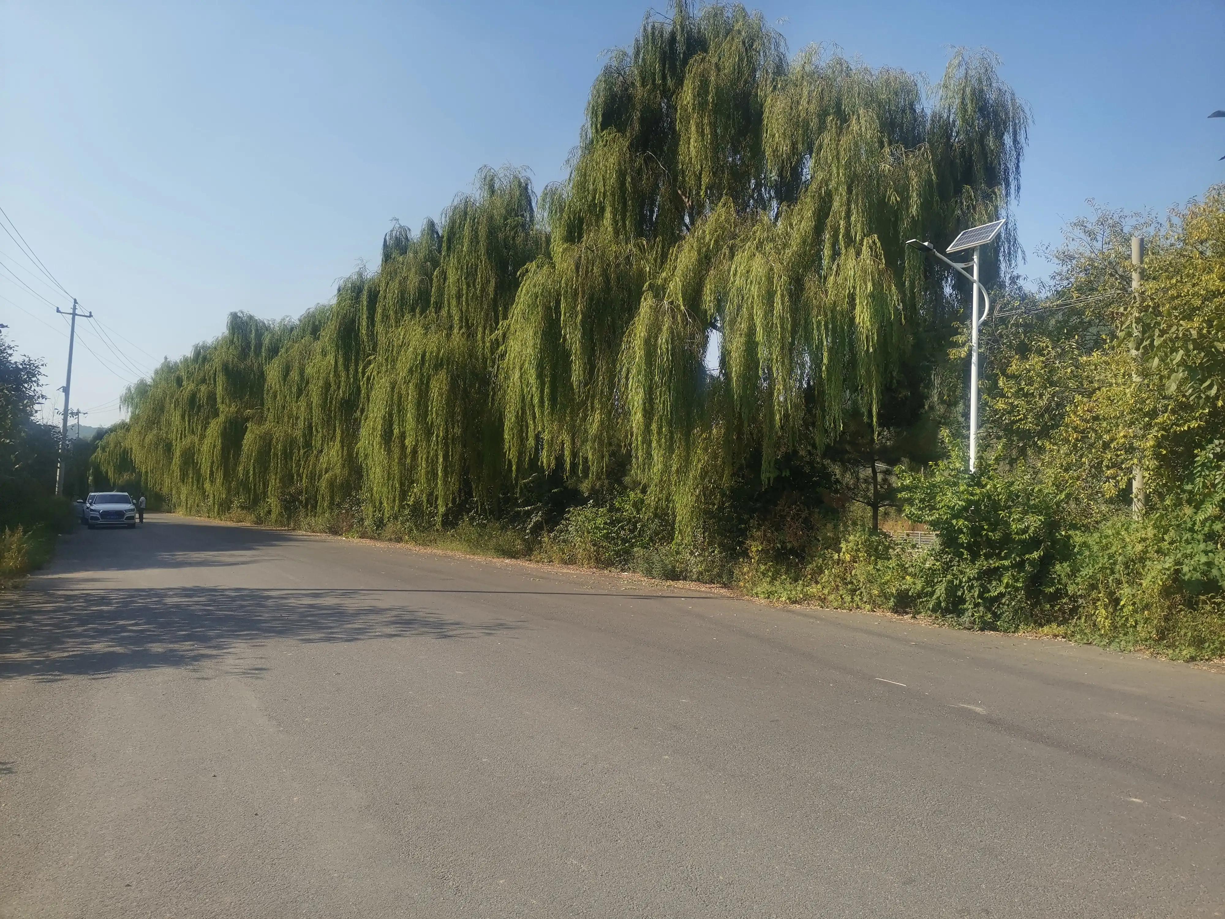 大拇指预防甲沟炎的最佳方法,怎么预防手指化脓