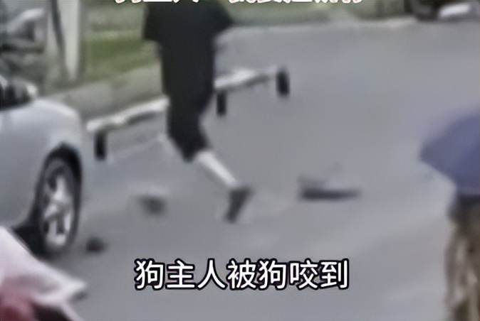 骑车被狗咬了要赔偿吗,狗把车咬了保险公司赔不赔