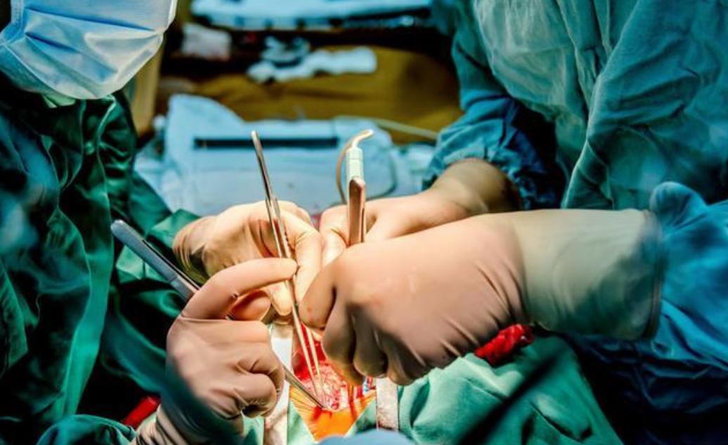 拇指姑娘出生时只有10公分,拇指姑娘出生时仅280克长大