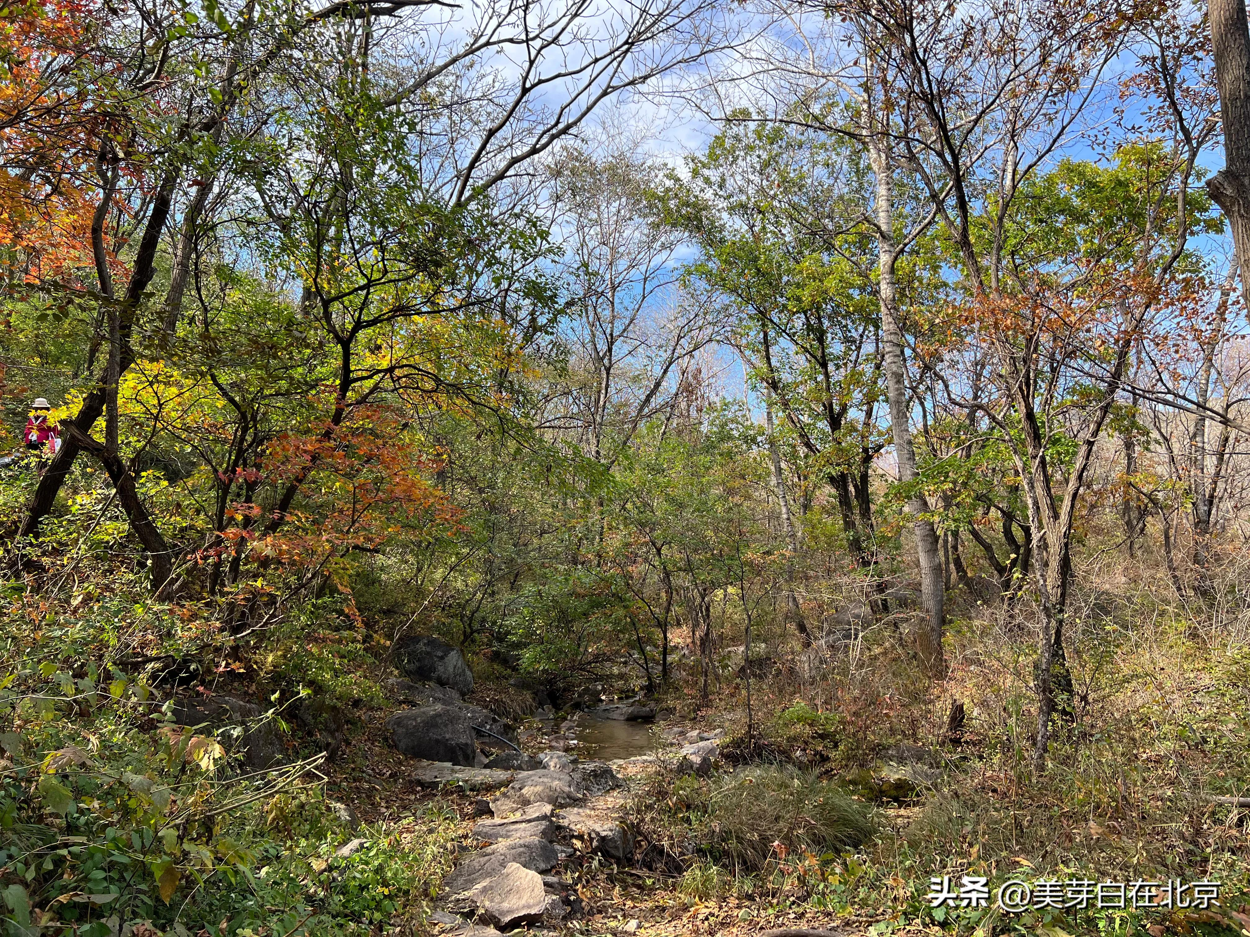 京郊小九寨玉渡山一日游,北京延庆玉渡山寻秋之旅