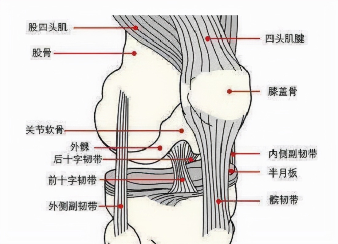 髌腱疼痛怎么康复,髌骨关节疼痛综合征如何快速恢复