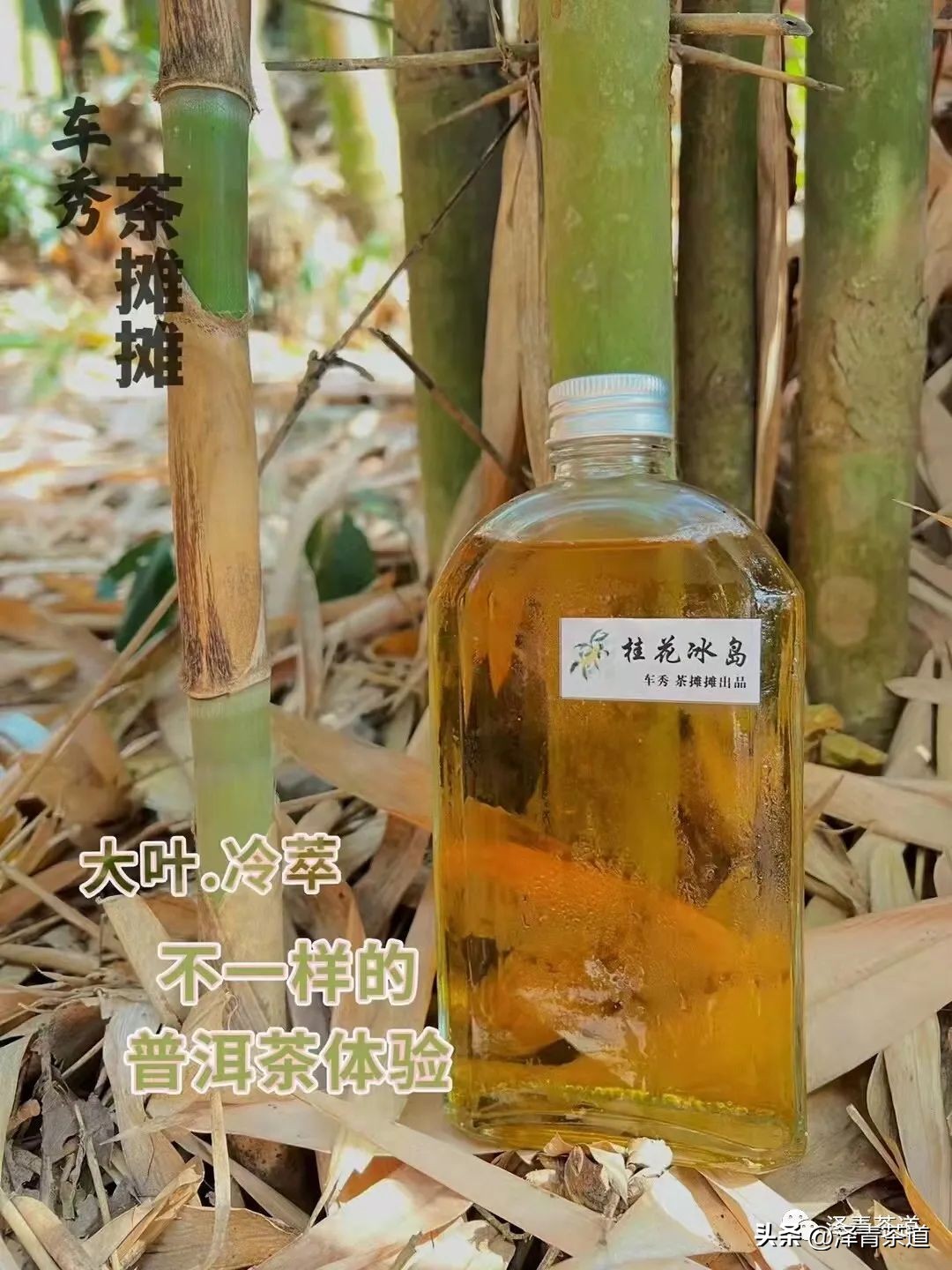 夏至蝉始鸣半夏生全文,夏至蝉始鸣半夏生什么意思