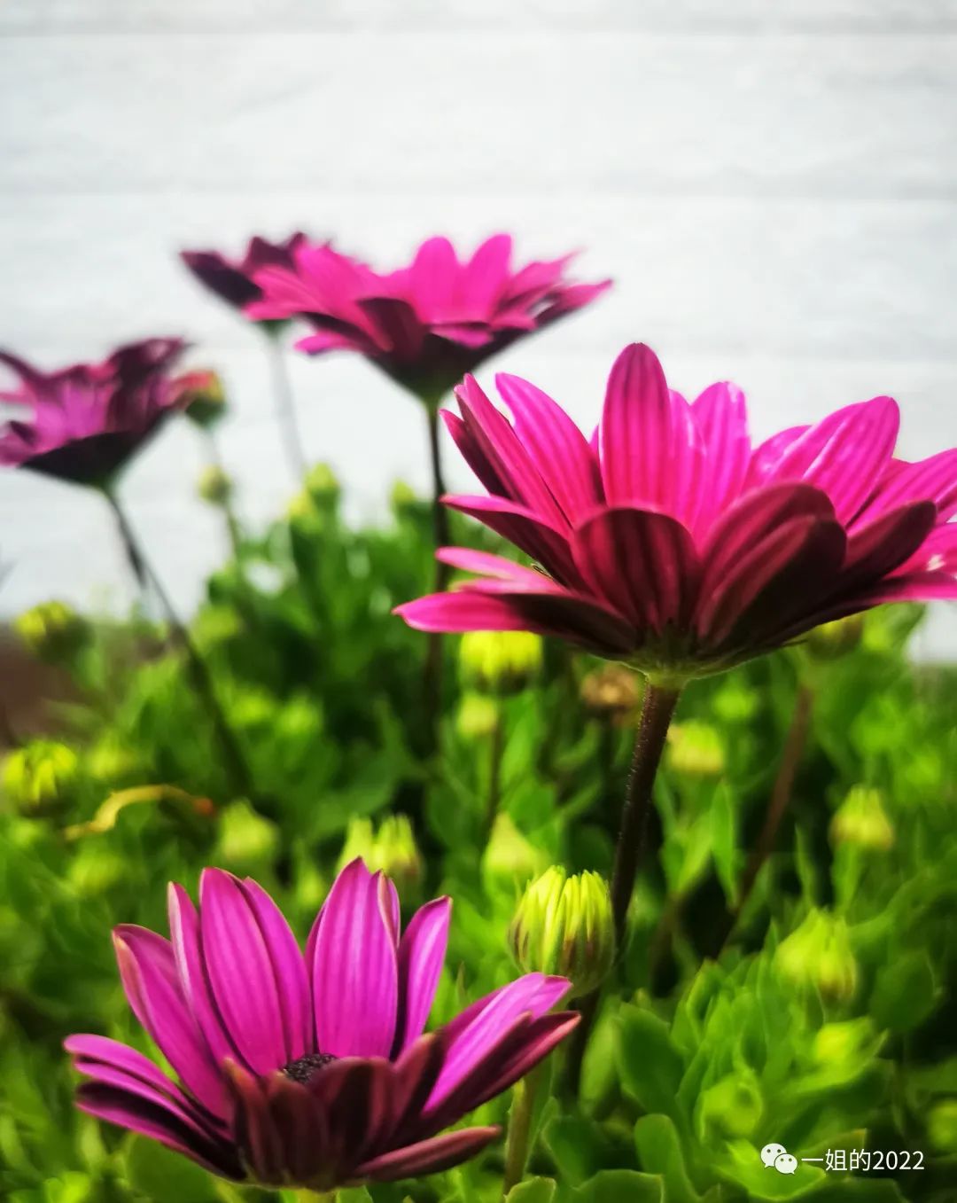 “快坚持不下去了，不敢开口说话。”网暴之下，他们越来越卑微了