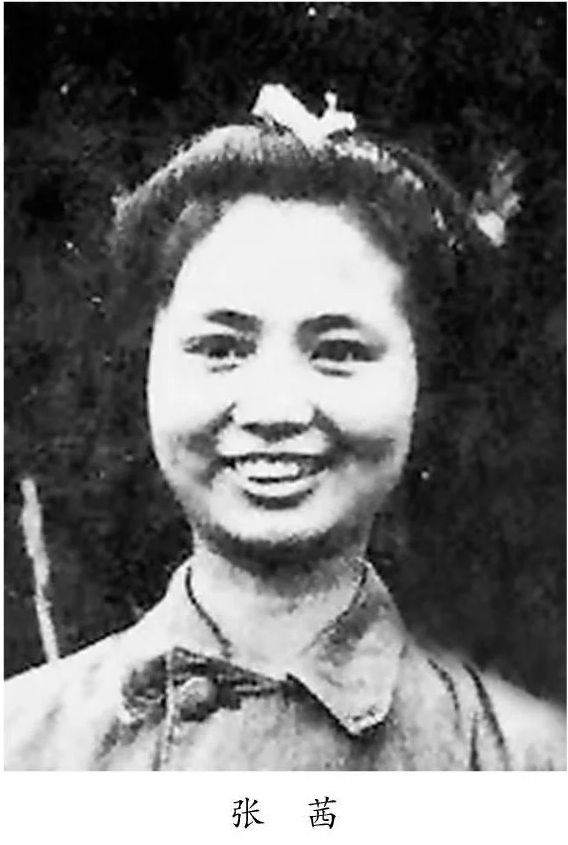 新四军铁军部队故事,新四军黄桥战役史实