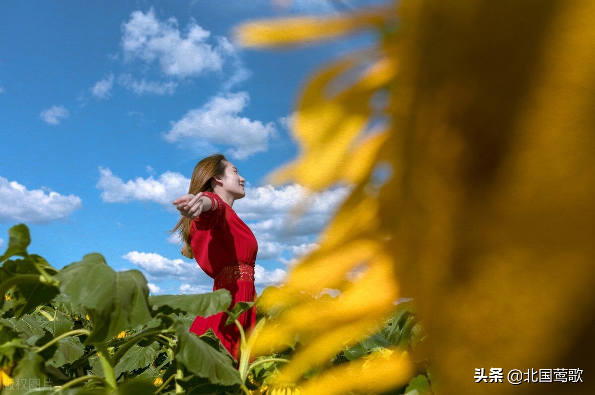 游子思乡时诗词,冬日游子思乡诗词