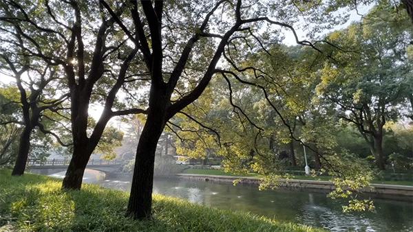 魔都，隐蔽60年的花园酒店，一窗一檐都是故事