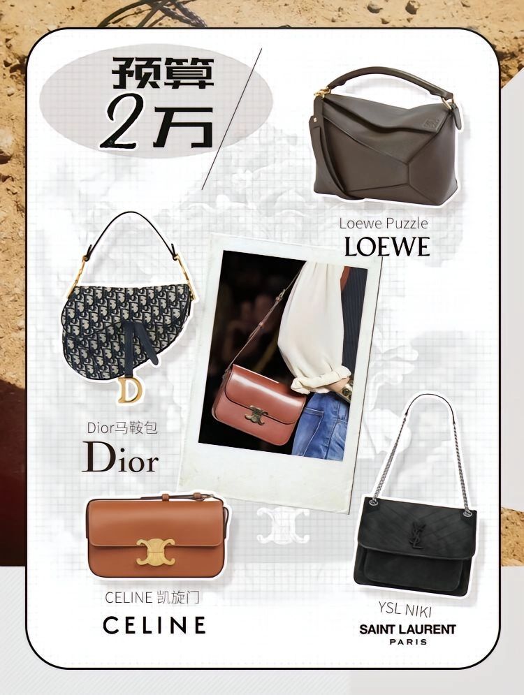 大牌包中的经典包,人生第一只大牌包图片