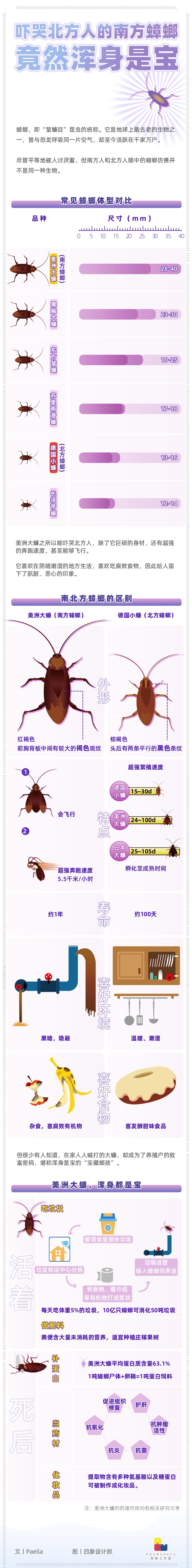 北方人被湖北蟑螂吓哭,北方人见到南方蟑螂飞被吓哭