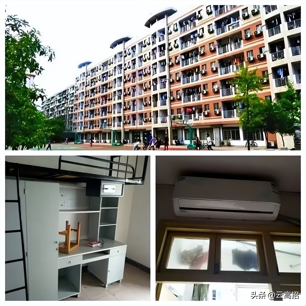 鍝簺澶у鐨勪綇瀹挎潯浠跺ソ,鍚勪釜澶у浣忓鏉′欢