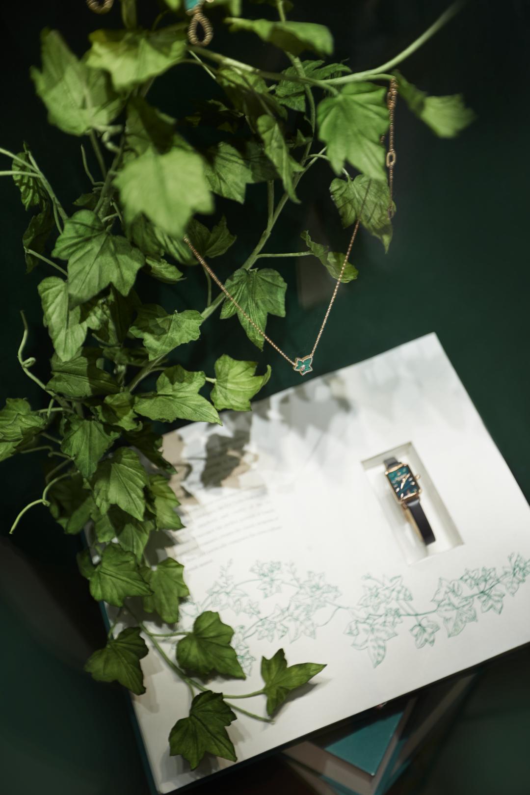 lolarose小绿表,英国进口lolarose欧美腕表