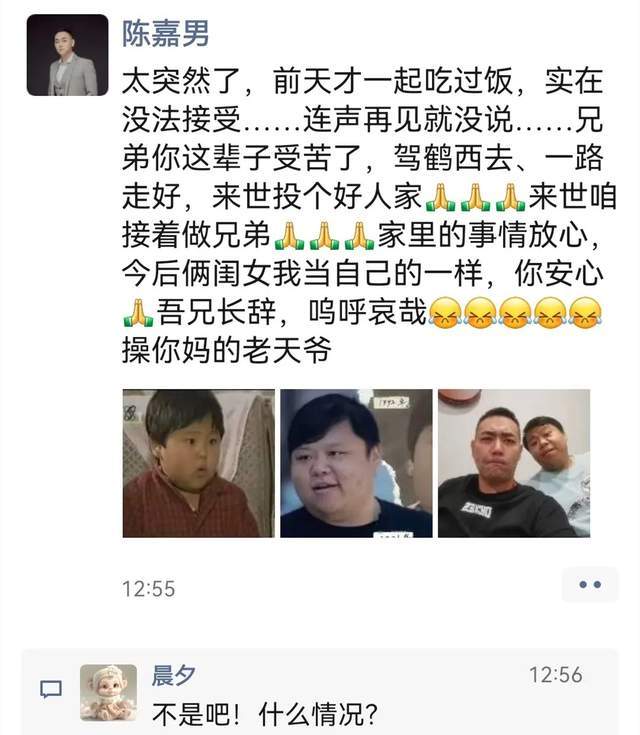 小龙人贝贝陈晨得了什么病,小龙人陈晨贝贝怎么死的
