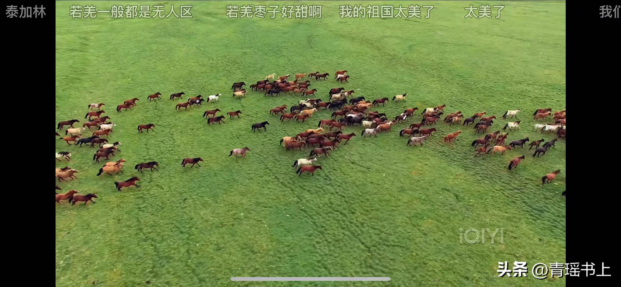 我们这十年之热爱,我们这十年之热爱在线观看