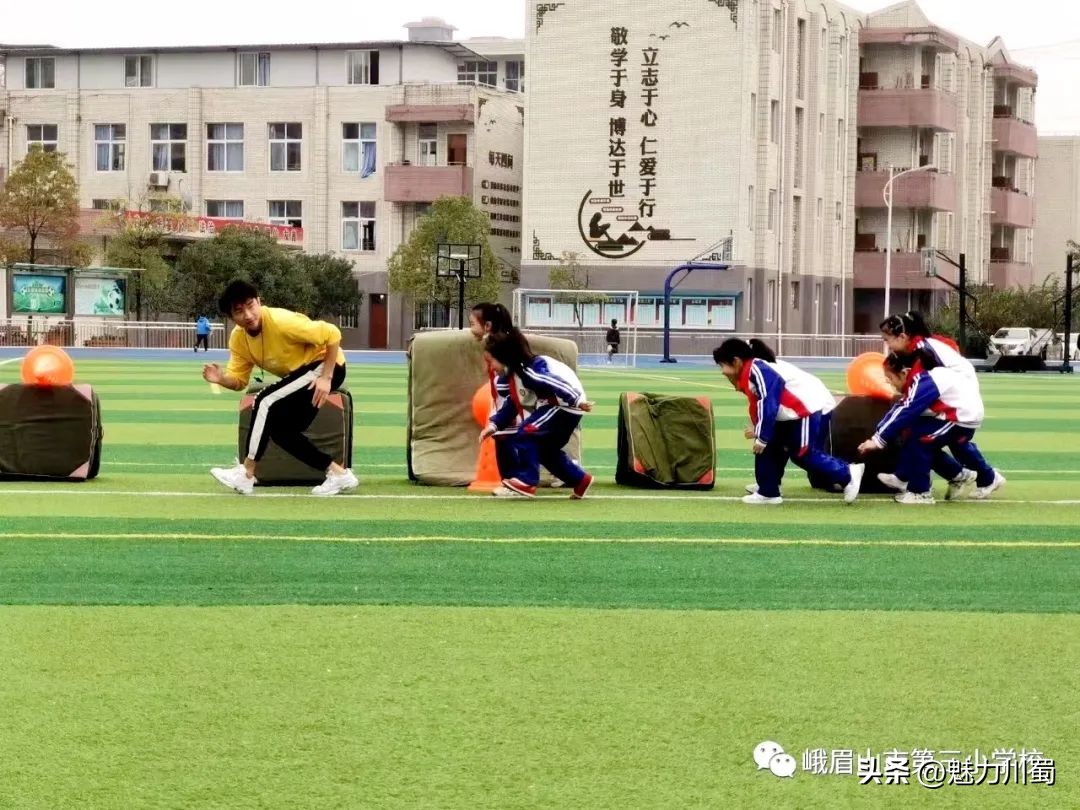 小学体育大单元教学实施效果,小学体育新课标大单元教学计划