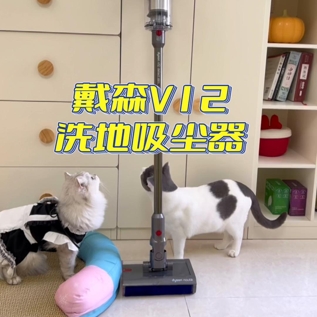 戴森吸尘器养宠物用哪款,戴森吸尘器要不要买洗地一体