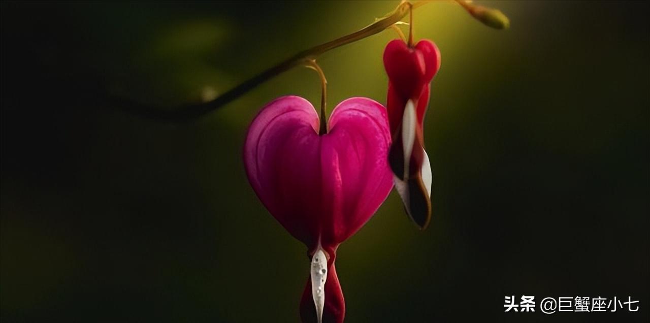 天秤座有你想不到的深情和绝情,天秤座开始对一个人冷淡