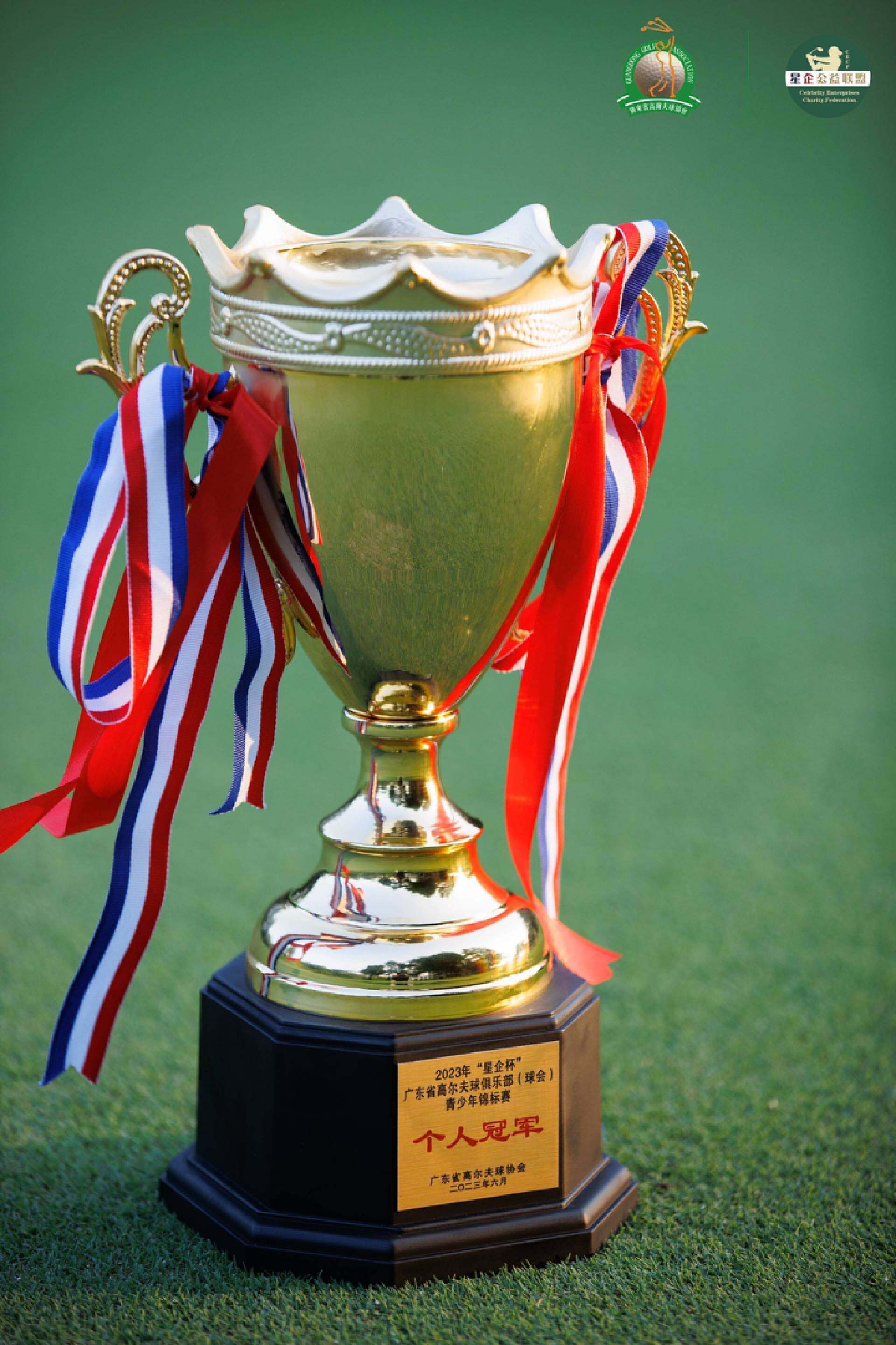 阳江涛景高尔夫全国青少年锦标赛,阳江涛景高尔夫俱乐部青少年比赛