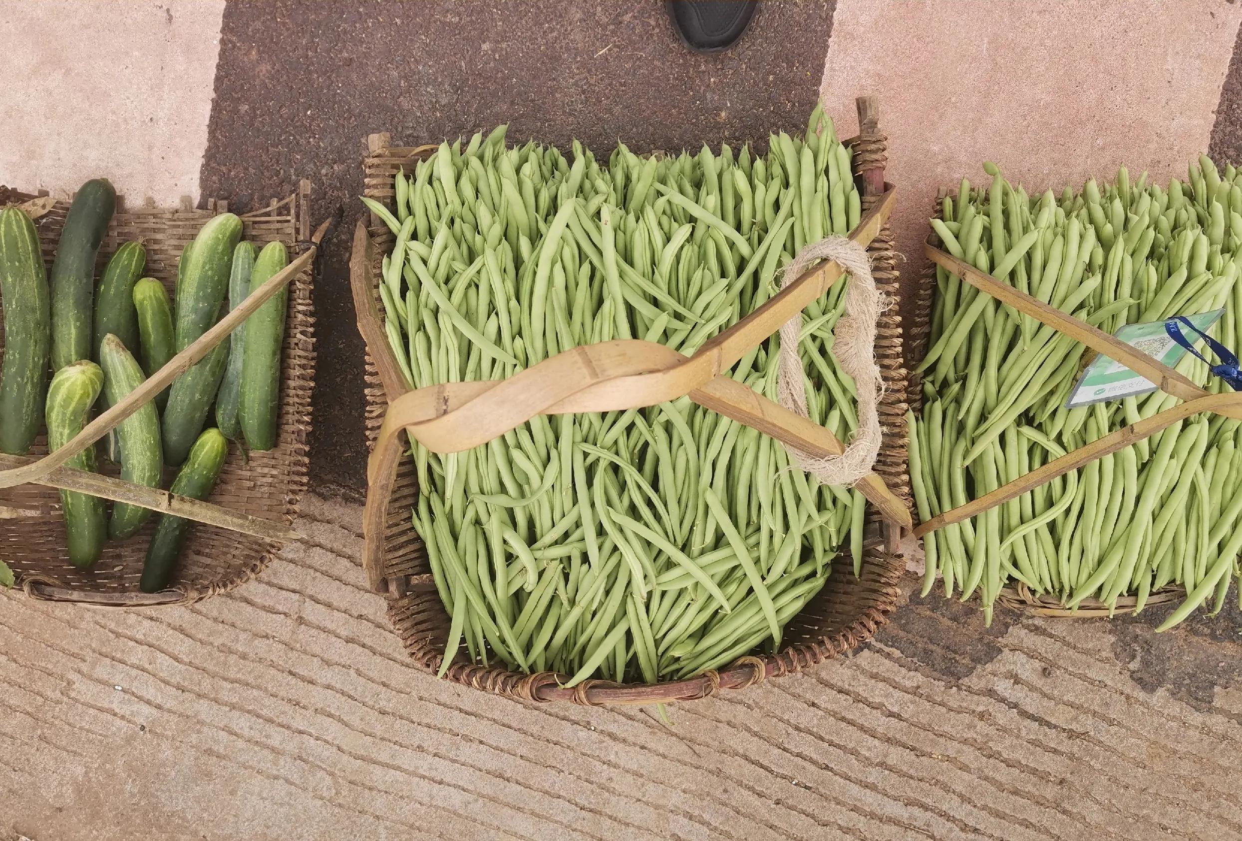 赏山水美景享田园生活,拥抱自然山水乐享田园风光